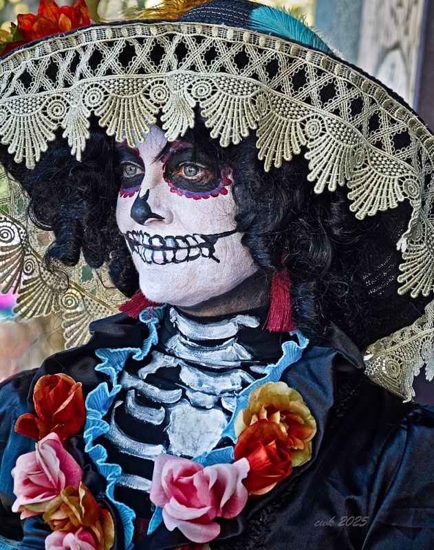 Painted Lady, Dias del Morte by artist Charlie Kreitler